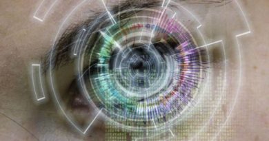 Magické kódy, DNA a životní programy