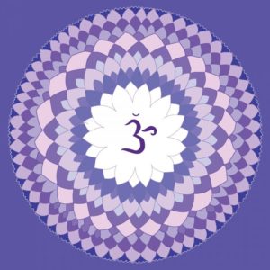violet-1340083_1920