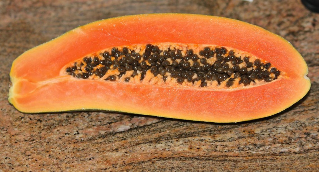 papaya-74585_1920