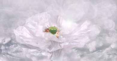 Uvědomění Prostoru - meditace vhledu